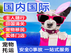 莫高航空托运国际宠物托运 【国